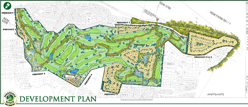 Development Plan